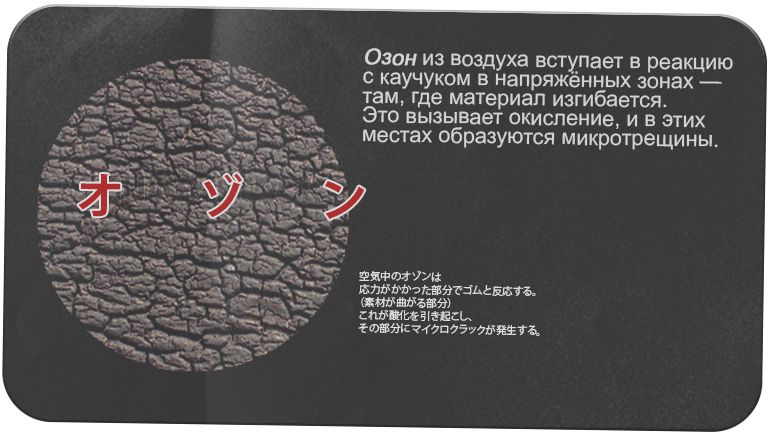 Озон